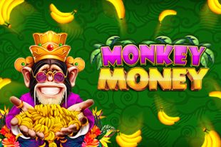 Monkey Money